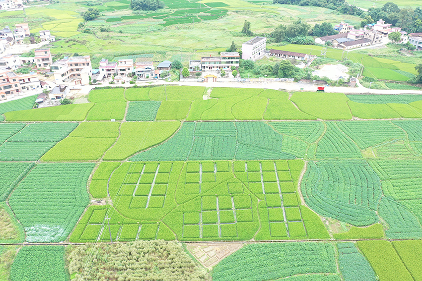 試驗(yàn)田模塊