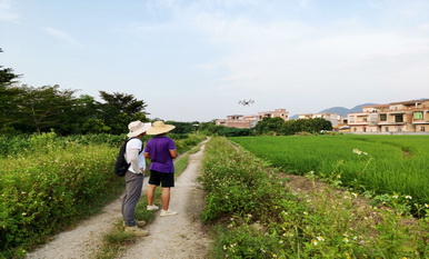 2020年陽江市植保植檢和種子土肥環(huán)保管理站耕地安全利用試驗示范項目