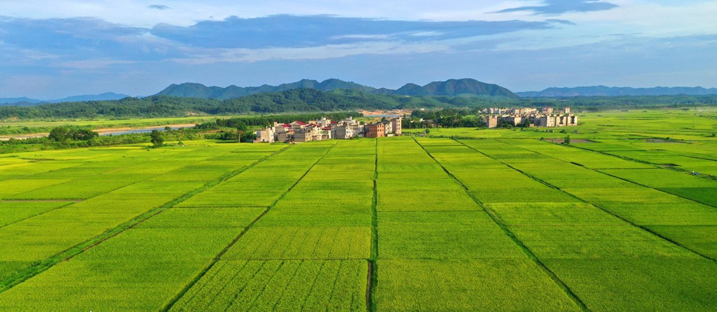 高標(biāo)準(zhǔn)農(nóng)田場(chǎng)景